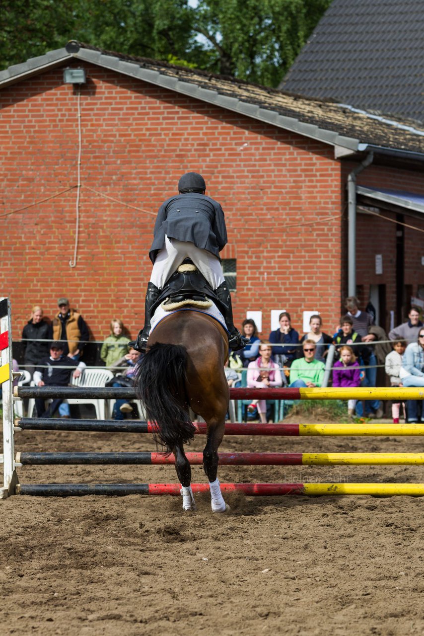 Bild 181 - Reitschule Janen Jubilum